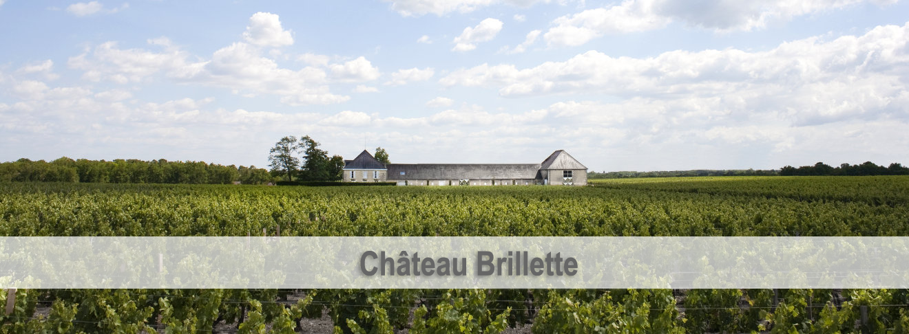 Château Brillette Château Brillette
