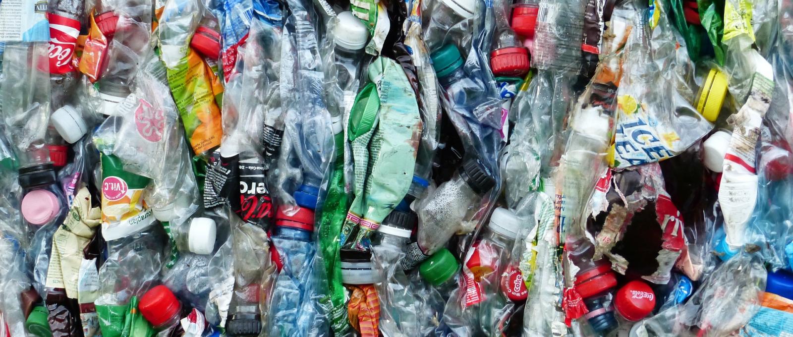 bouteilles plastiques