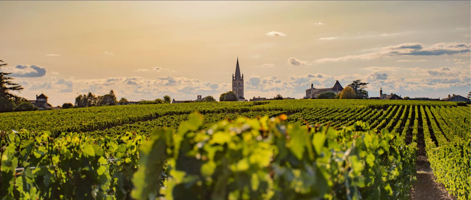 Vignoble Bordelais Vignoble Bordelais