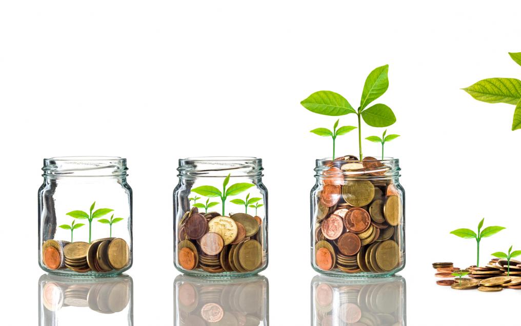 contributionss-évolutions Economie et plantes