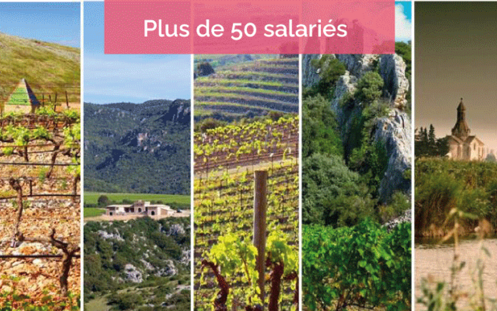 jeanjean_plusde50_2.png