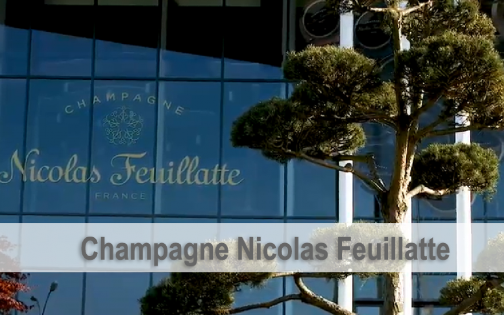 Champagne Nicolas Feuillatte