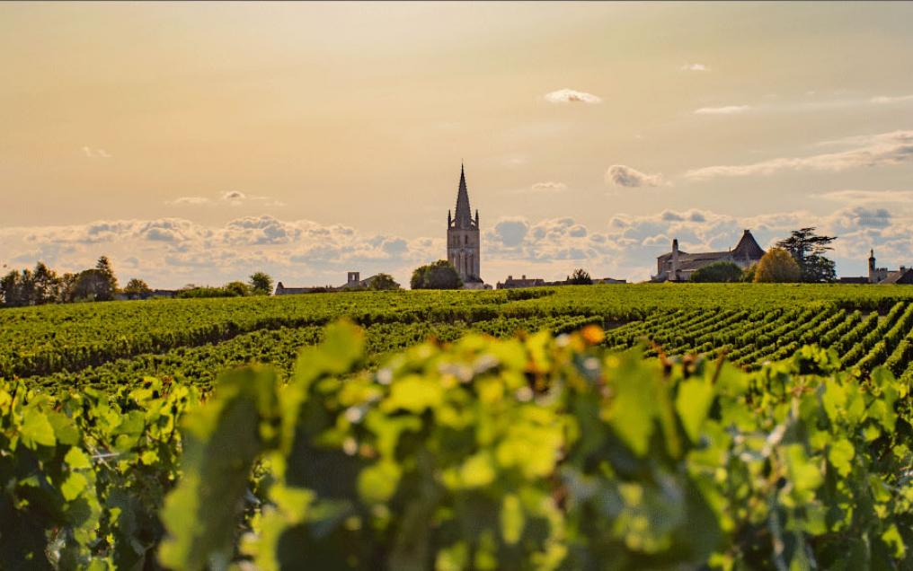 Vignoble Bordelais