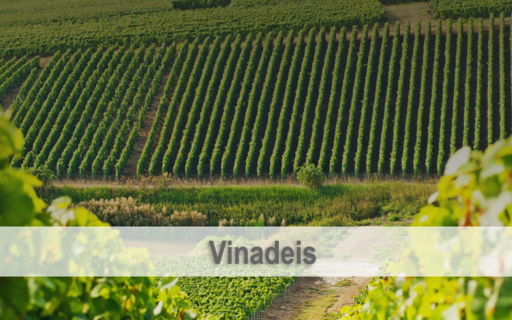 Vinadeis